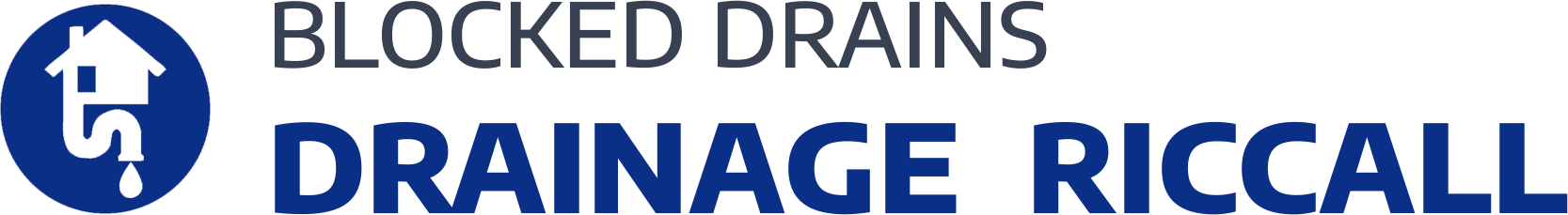 website logo